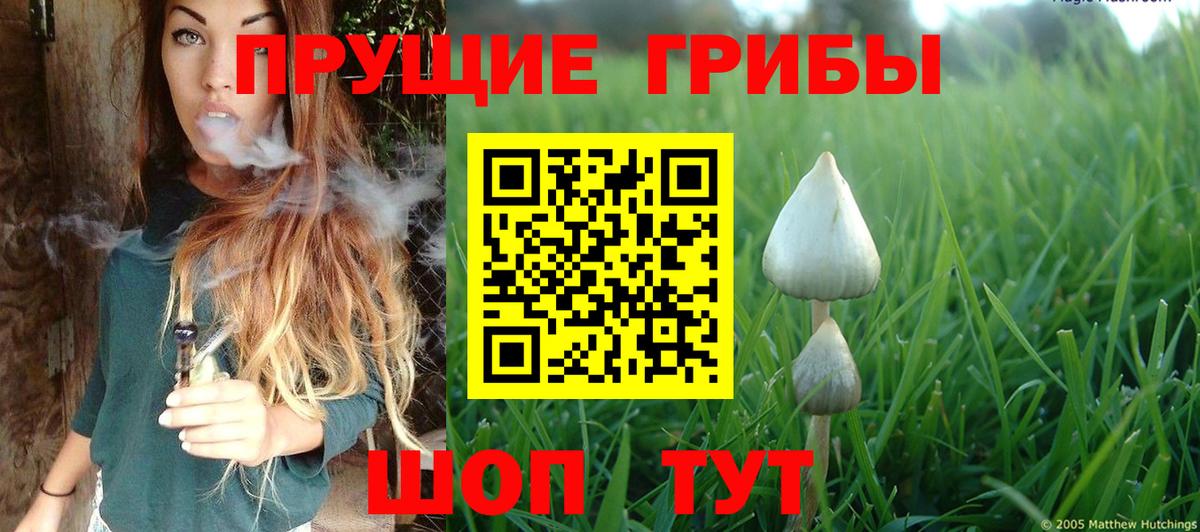 Кушва  Галлюциногенные грибы Psilocybe  Вход с VPN 